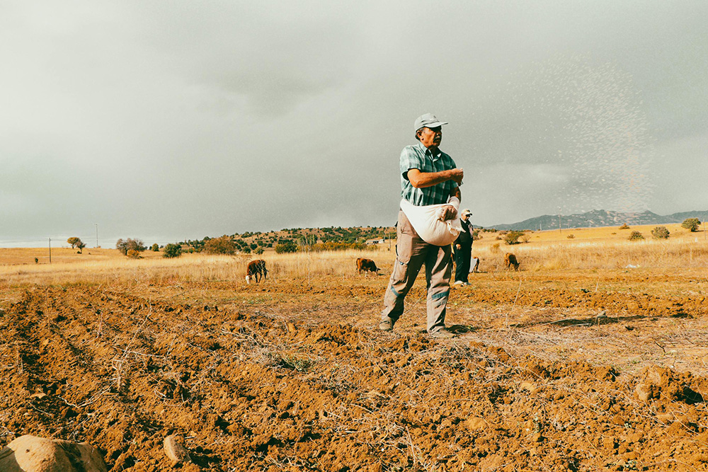 Hombre casechando en el campo